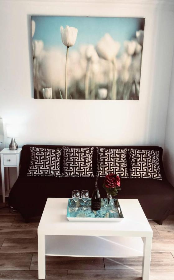Puerto Banus Apartment Near Beachfront, Sunny Terrace, Pool, Tennis Court, Parking And Movies Projector Marbella Luaran gambar